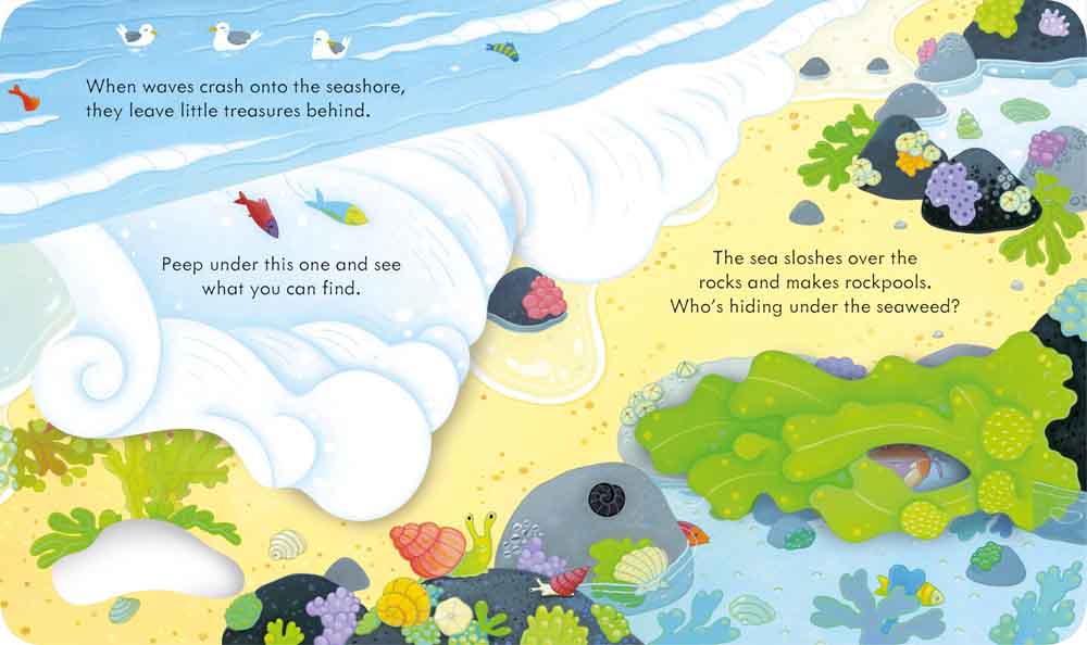 Peep Inside the Seashore - 買書書 BuyBookBook