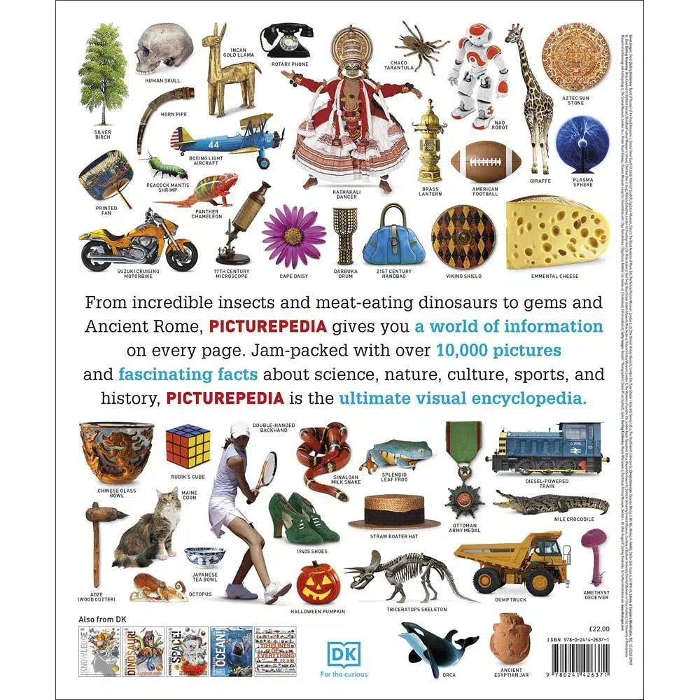 Picturepedia- An Encyclopedia on Every Page (Hardback) DK UK