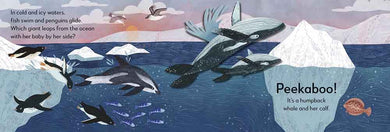 Pop-Up Peekaboo! - Ocean - 買書書 BuyBookBook