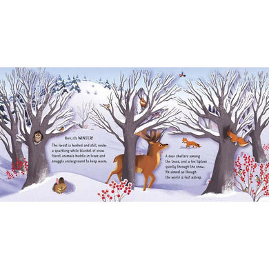 Pop-Up Seasons (with QR code) Usborne