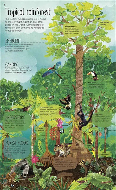 RHS The Magic and Mystery of Trees DK UK
