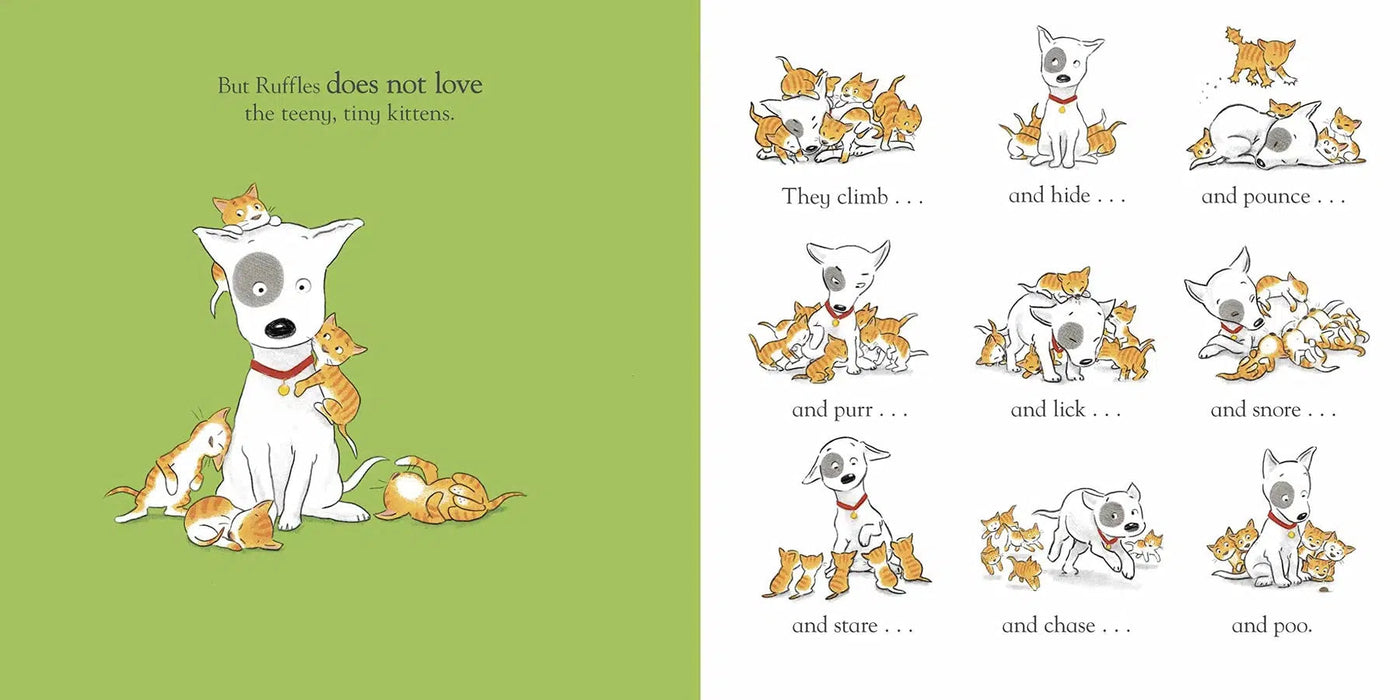 Ruffles and the Teeny Tiny Kittens (Paperback)(Nosy Crow) Nosy Crow
