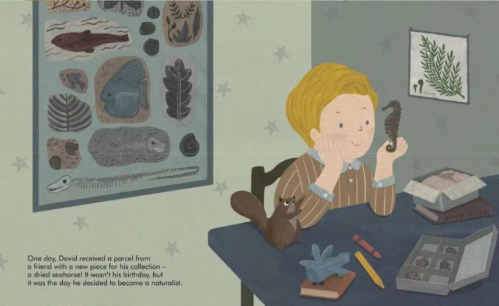 Little People, BIG DREAMS: David Attenborough-Nonfiction: 人物傳記 Biography-買書書 BuyBookBook