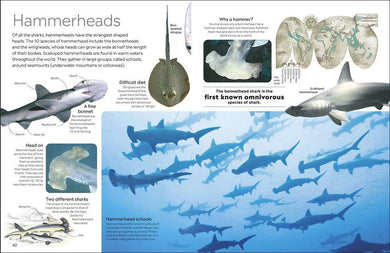 DK Eyewitness Shark (New Edition)-Nonfiction: 動物植物 Animal & Plant-買書書 BuyBookBook
