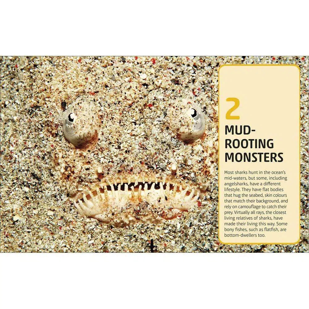 Sharks and Other Deadly Ocean Creatures (Hardback) DK UK