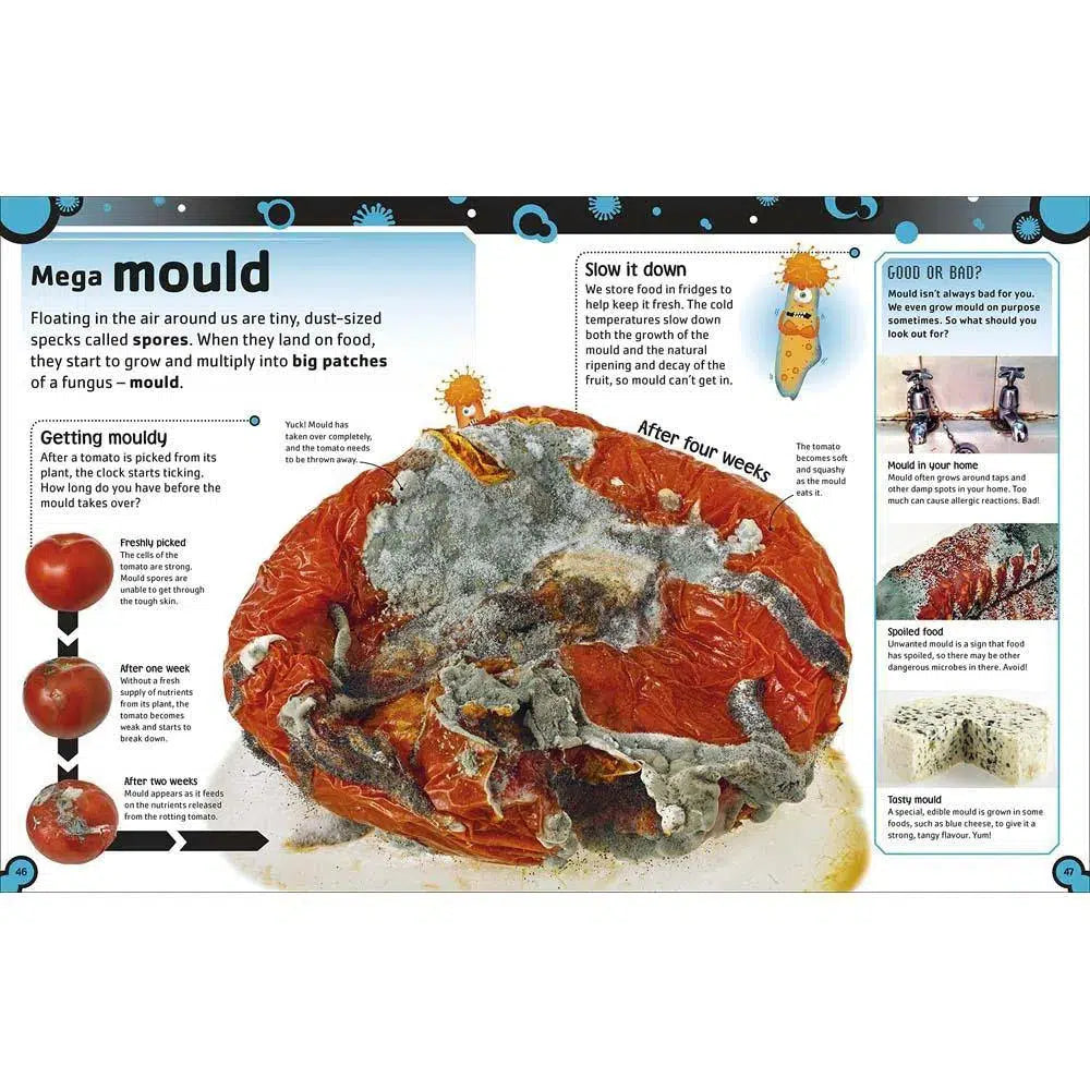 The Bacteria Book (Hardback) DK UK