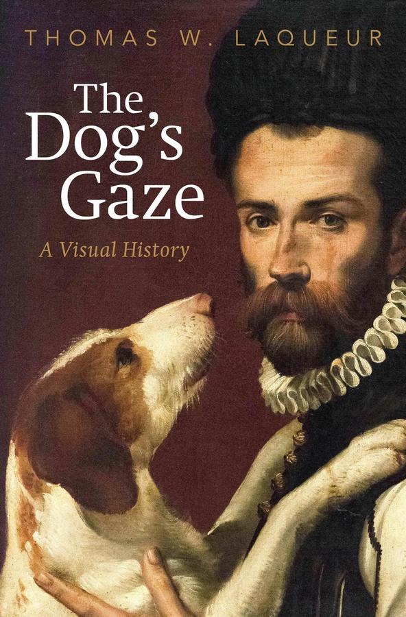 The Dog's Gaze-Art: general-買書書 BuyBookBook