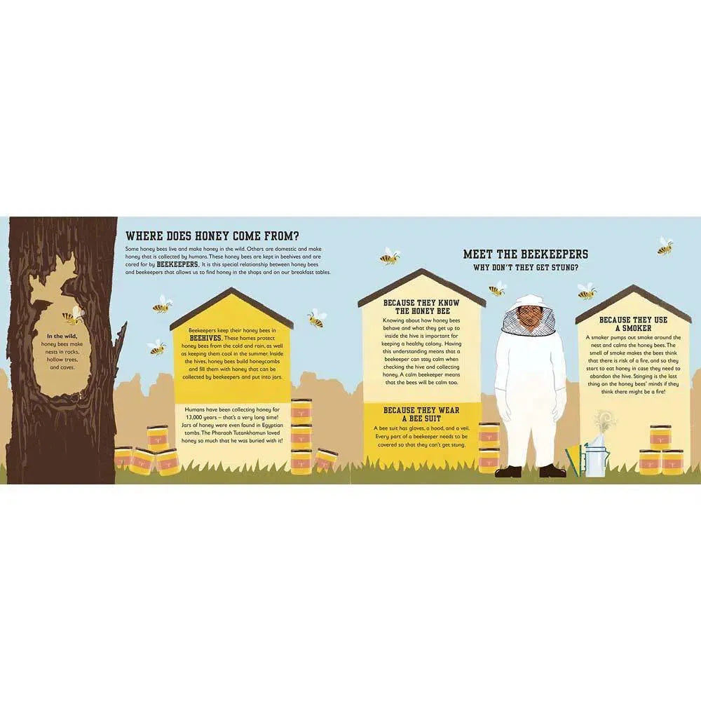 The Bee Book (Hardback) DK UK