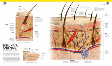 The Complete Human Body-Human biology-買書書 BuyBookBook