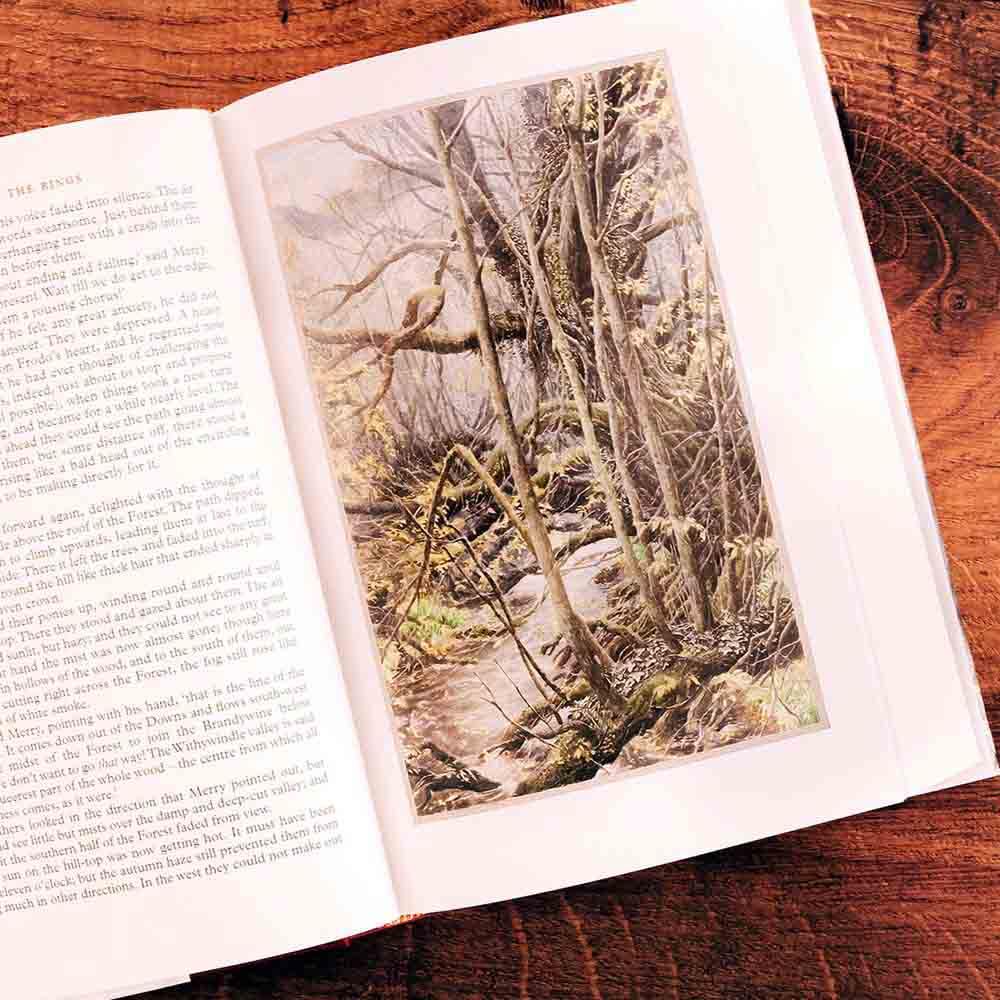 Lord of the Rings, The #01 - The Fellowship of the Ring (Illustrated) (Hardback) (J. R. R. Tolkien) Harpercollins (UK)