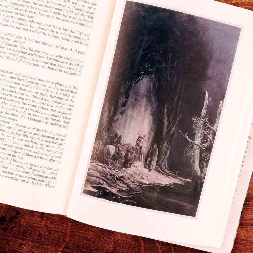 Lord of the Rings, The #01 - The Fellowship of the Ring (Illustrated) (Hardback) (J. R. R. Tolkien) Harpercollins (UK)