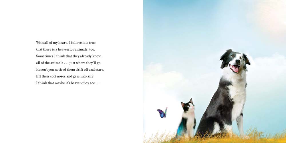 The Heaven of Animals (Nancy Tillman)-Fiction: 兒童繪本 Picture Books-買書書 BuyBookBook