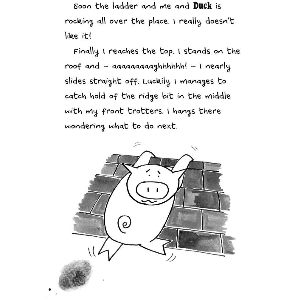 Pig Diaries #3 The Seriously Extraordinary Diary of Pig Scholastic UK
