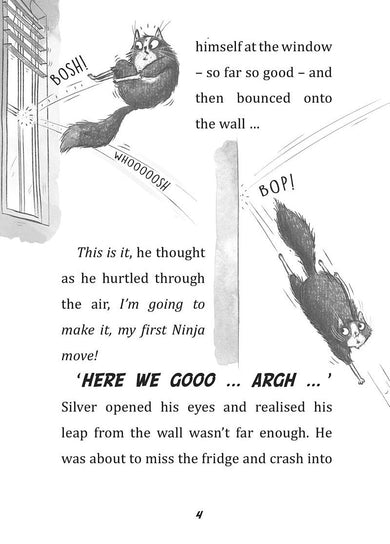 Toto the Ninja Cat