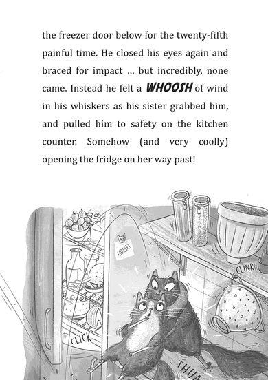 Toto the Ninja Cat