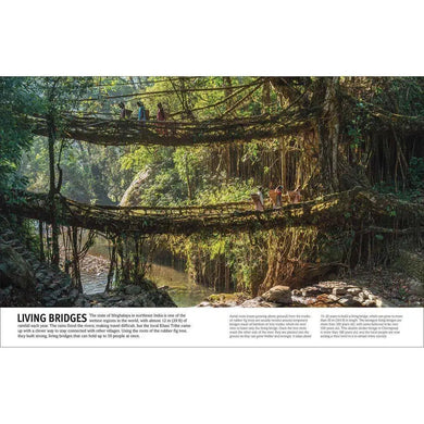 Trees, Leaves, Flowers & Seeds (Hardback) DK UK