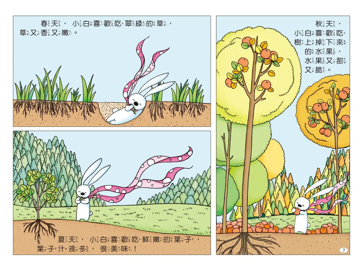 兔子小白益智遊戲繪本:小白和樹木-Children’s interactive and activity books and kits-買書書 BuyBookBook
