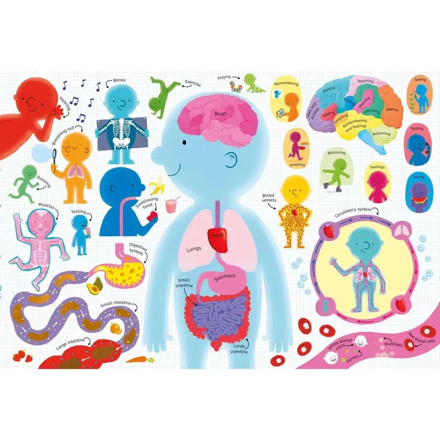 Human Body (Usborne Book and Jigsaw) (100 pcs) Usborne