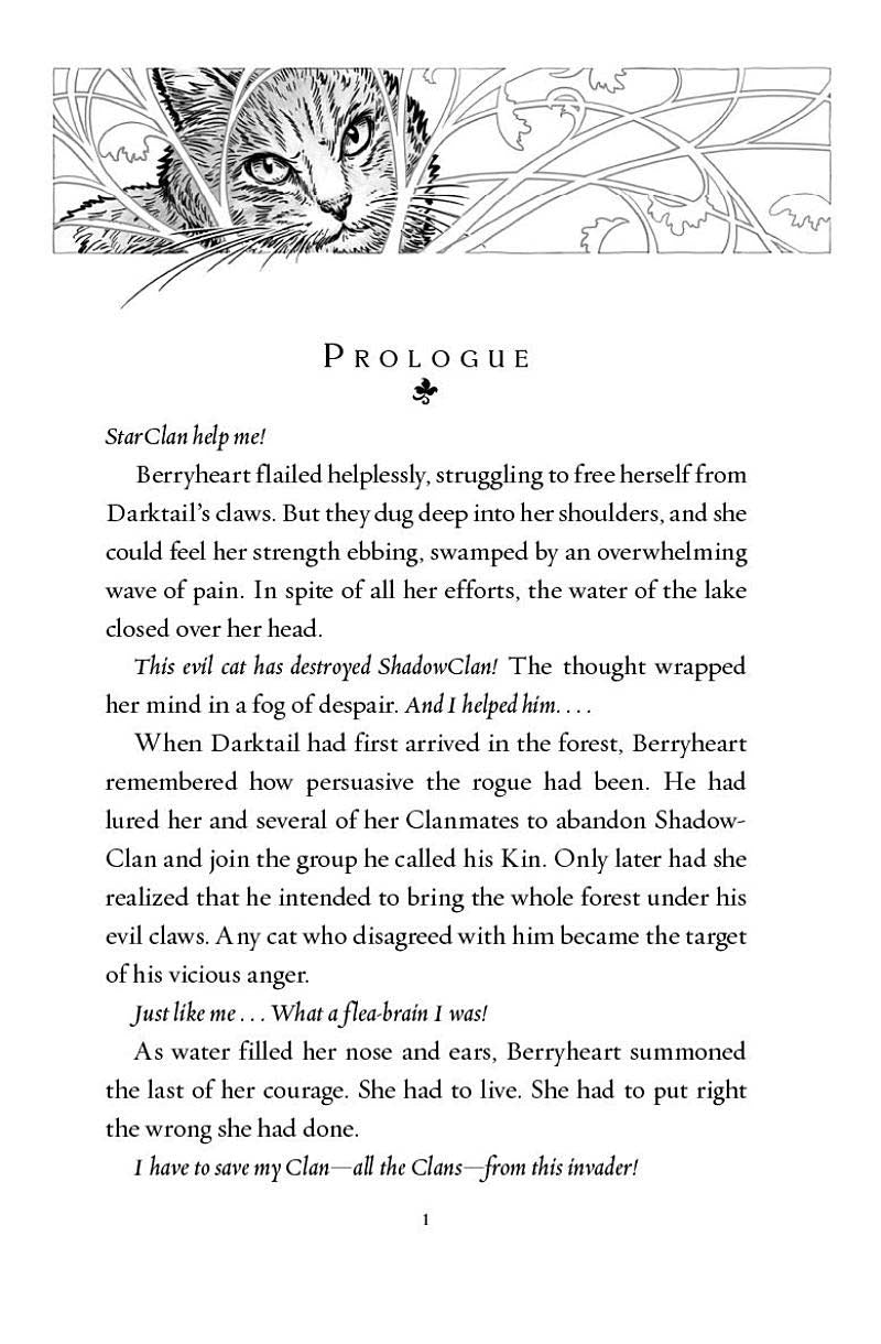 US - Hardback