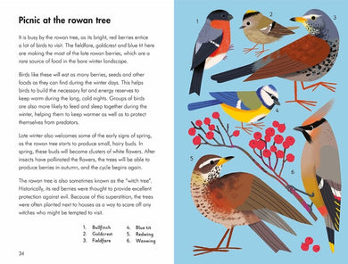 What to Look For in Every Season: A Ladybird Book Boxset - 買書書 BuyBookBook