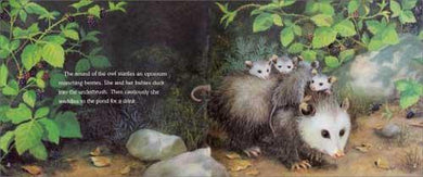 Where Are the Night Animals? (Let's-Read-and-Find-Out L1) (Paperback) Harpercollins US