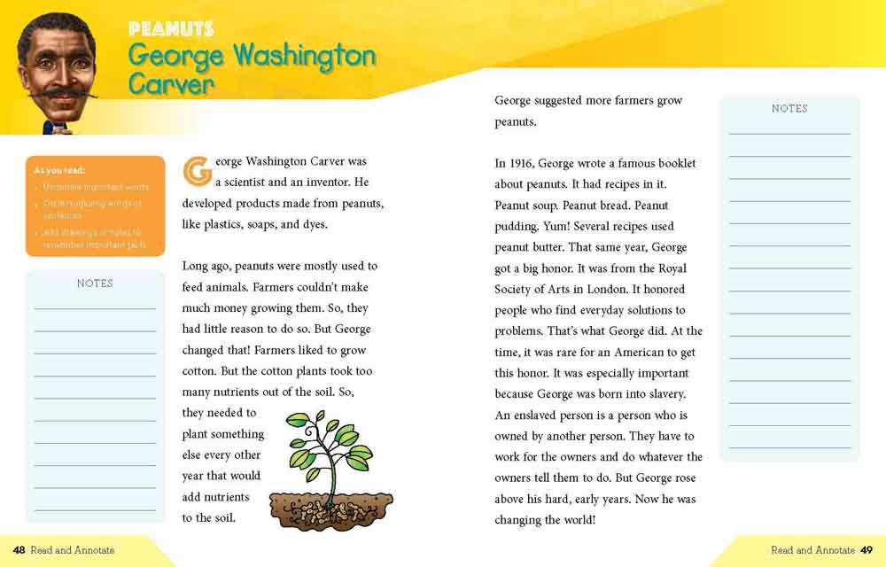 Who Was? Workbook - Grade 2 Language / Reading (Who | What | Where Series) - 買書書 BuyBookBook