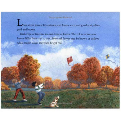 Why Do Leaves Change Color? (Paperback) Harpercollins US