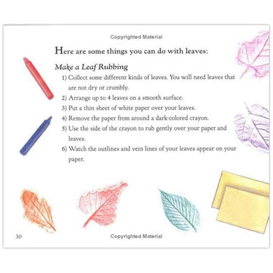Why Do Leaves Change Color? (Paperback) Harpercollins US