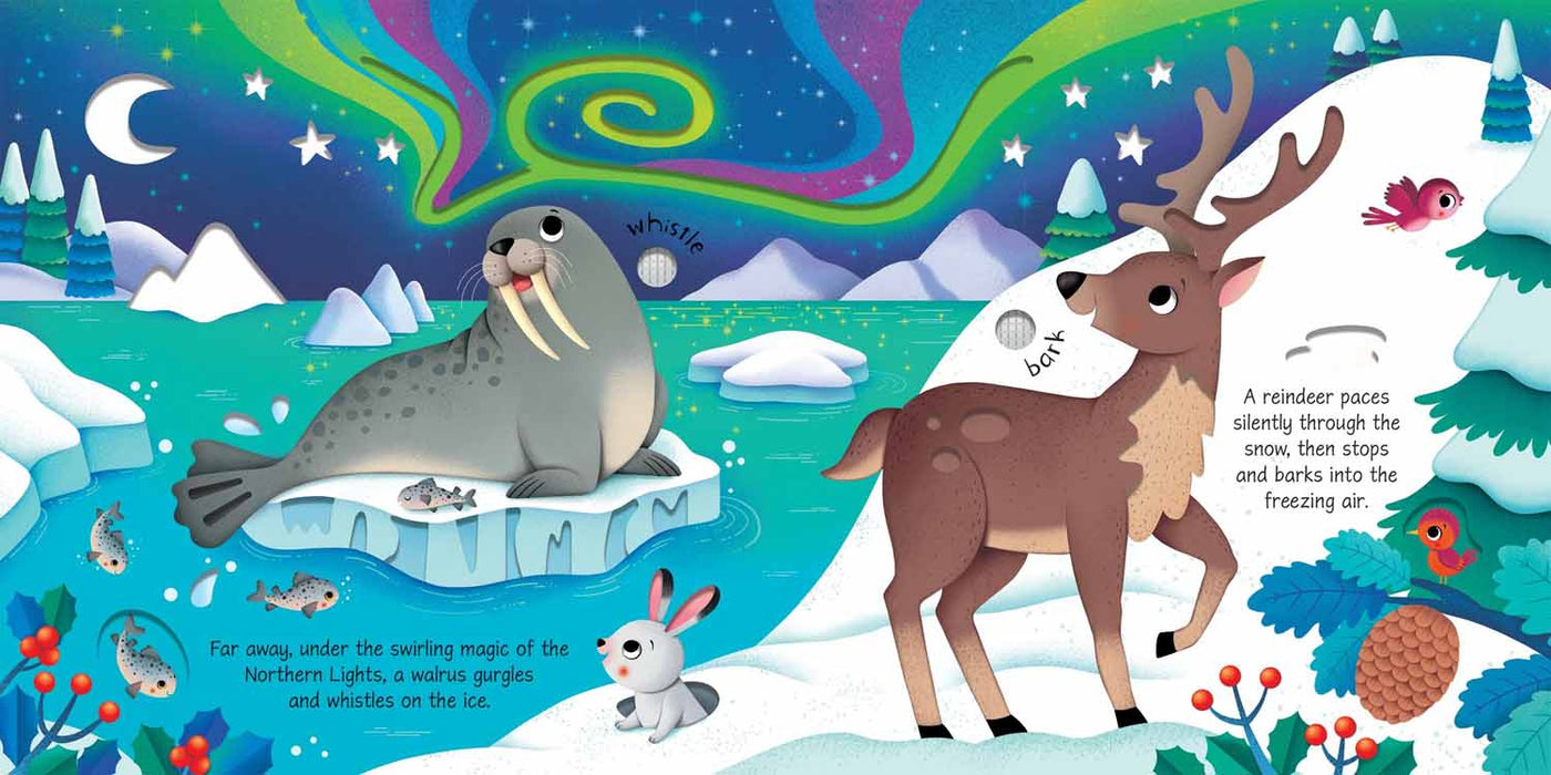 Wild Animals Sound Book Usborne