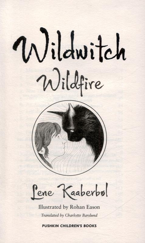 Wildwitch #01, Wildfire-Fiction: 歷險科幻 Adventure & Science Fiction-買書書 BuyBookBook