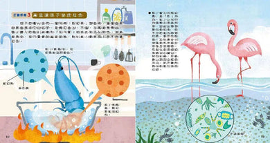 WOW原來是這樣:生活科學 (小牛頓)-非故事: 常識通識 General Knowledge-買書書 BuyBookBook