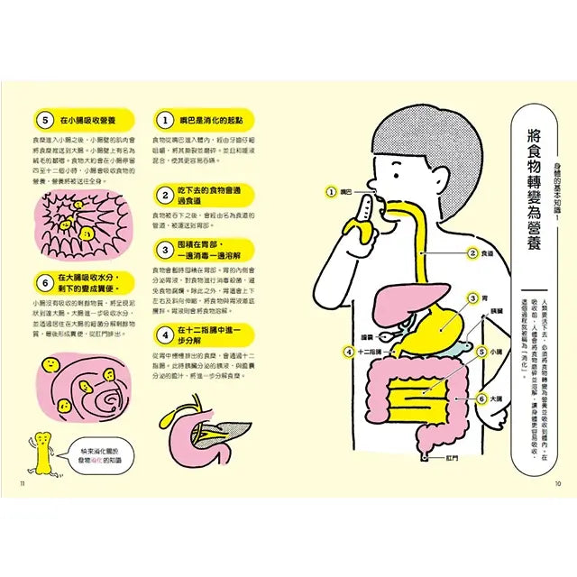 又驚又笑的人體祕密:為什麼看梅乾會流口水?-Children’s / Teenage general interest: General knowledge and interesting facts-買書書 BuyBookBook