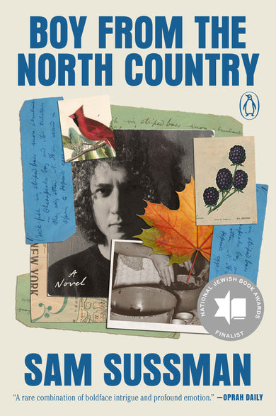 Boy from the North Country cover (ISBN 9780593835074)