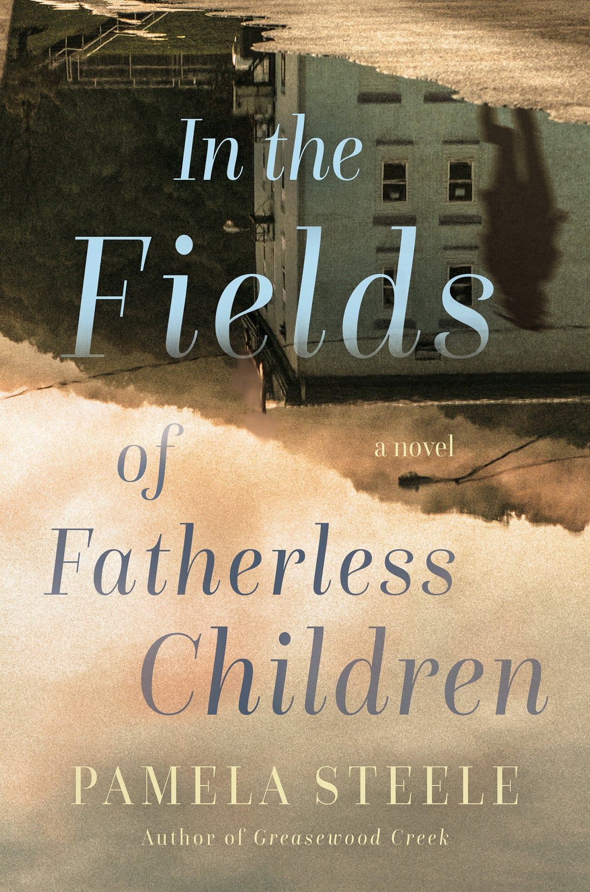 In the Fields of Fatherless Children cover (ISBN 9781640098428)