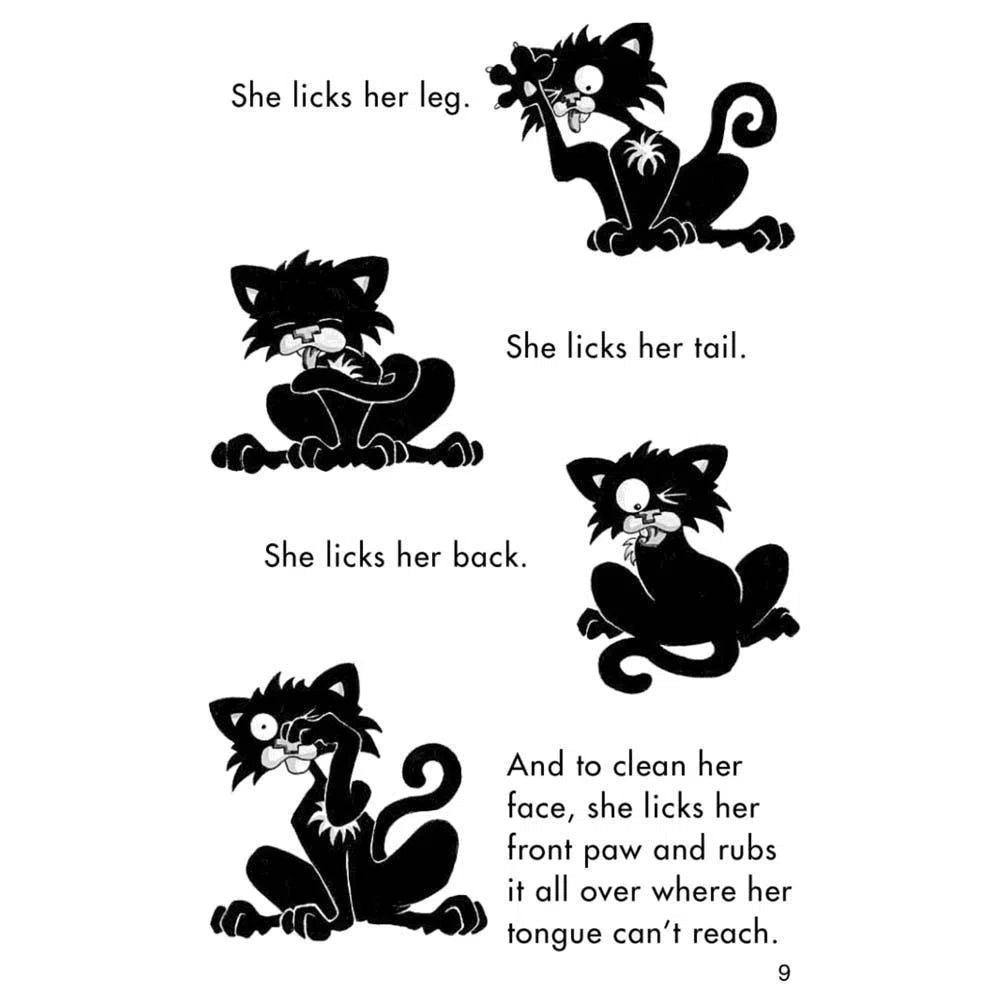 Bad Kitty Bundle #1 Very Bad Boxed Set (3 books) Macmillan US