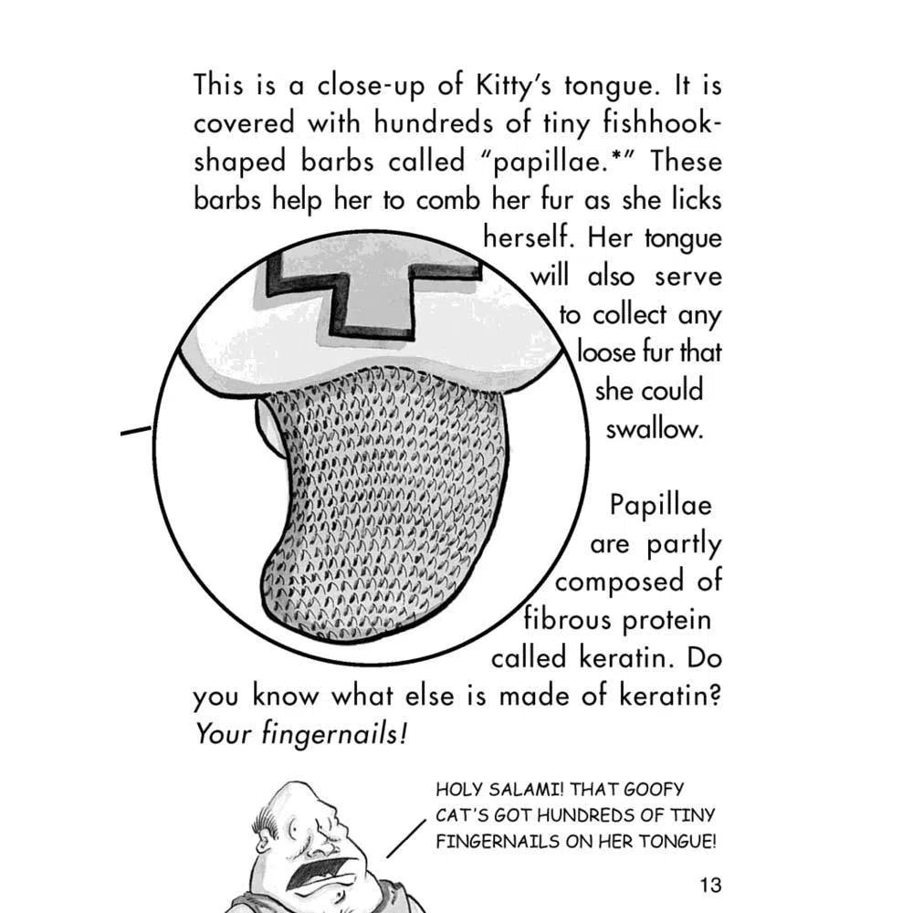 Bad Kitty Bundle #1 Very Bad Boxed Set (3 books) Macmillan US