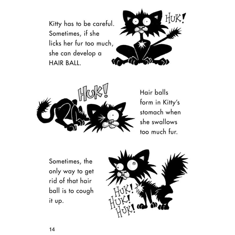 Bad Kitty Bundle #1 Very Bad Boxed Set (3 books) Macmillan US