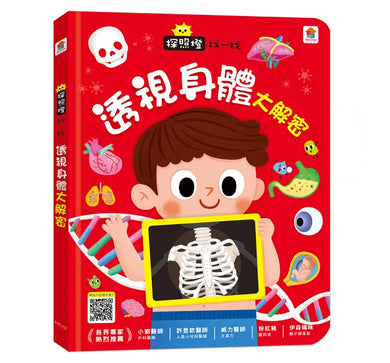 探照燈找一找:透視身體大解密