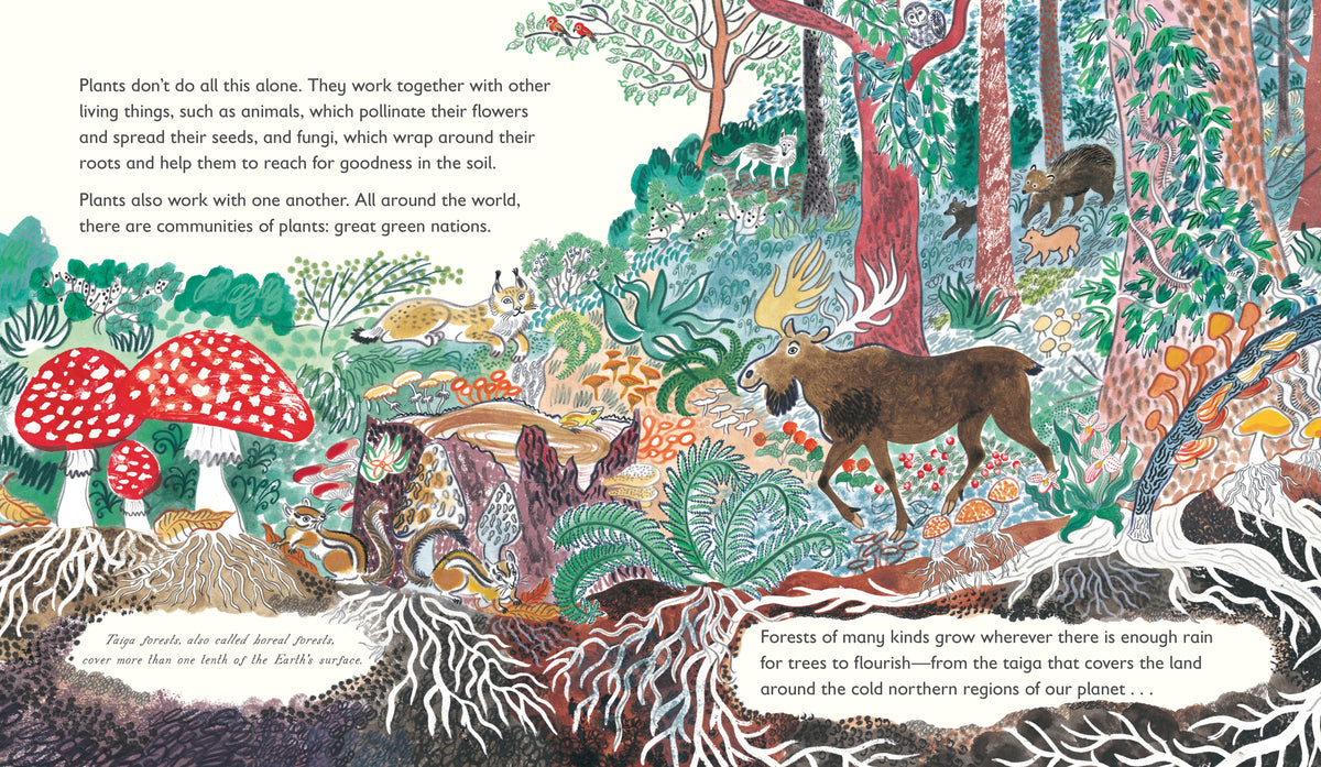 Green: The Story of Plant Life on Our Planet interior 3 (ISBN 9781536257687)