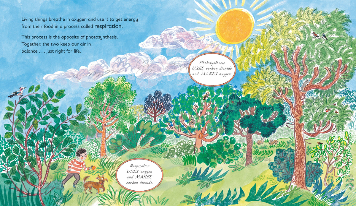 Green: The Story of Plant Life on Our Planet interior 1 (ISBN 9781536257687)