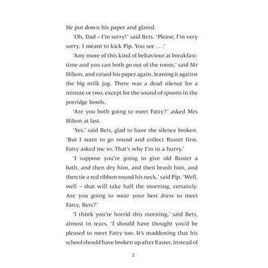 Find-Outers, The (正版)(The Mystery series) Collection (15 book) (Enid Blyton) Hachette UK