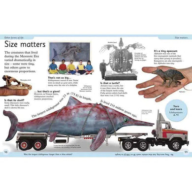 First Dinosaur Encyclopedia DK UK