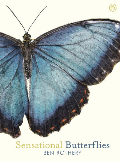 Sensational Butterflies-Children’s picture books-買書書 BuyBookBook
