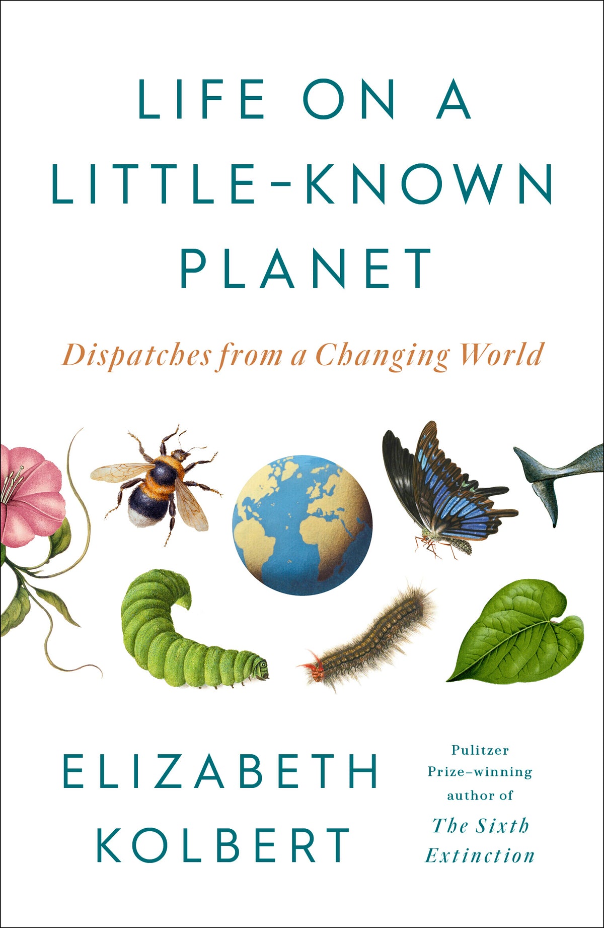 Life on a Little-Known Planet