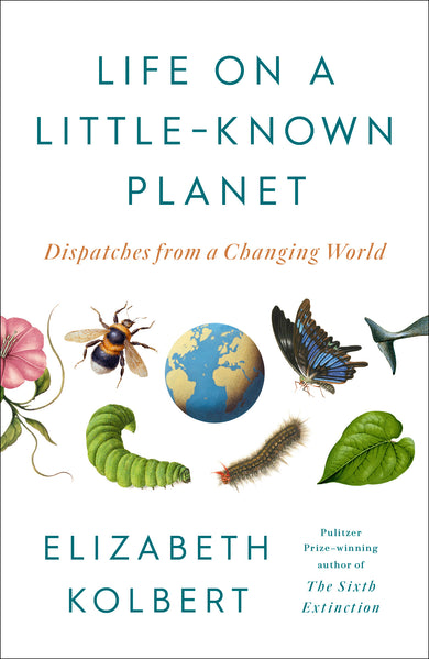 Life on a Little-Known Planet