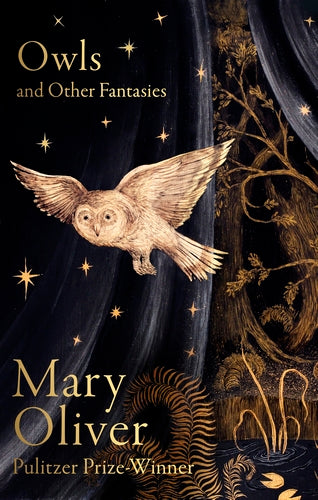 Cover of Owls and Other Fantasies (ISBN 9781472160935)