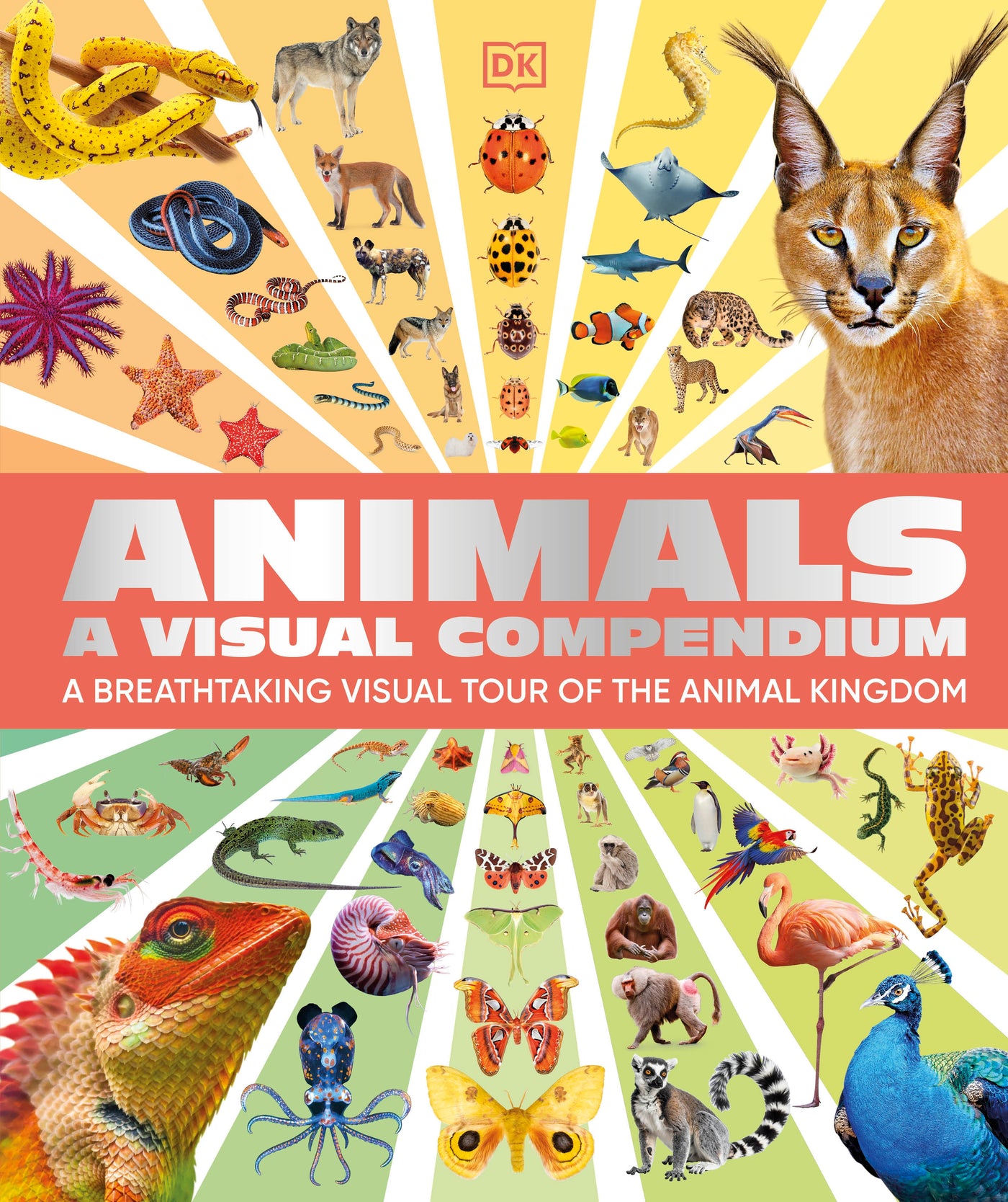Animals A Visual Compendium