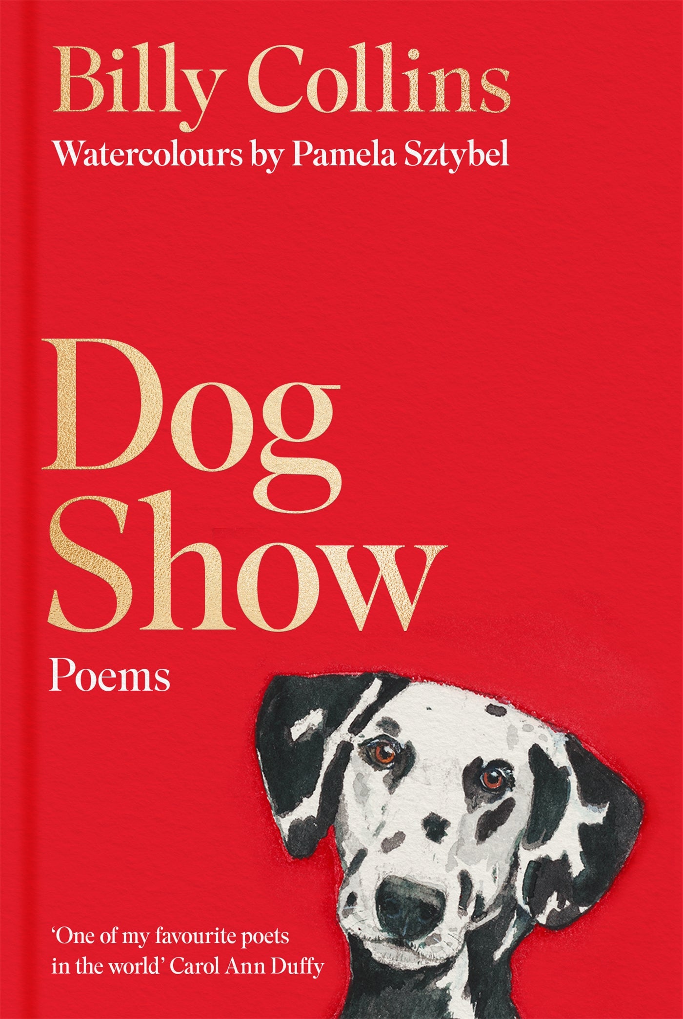 Dog Show