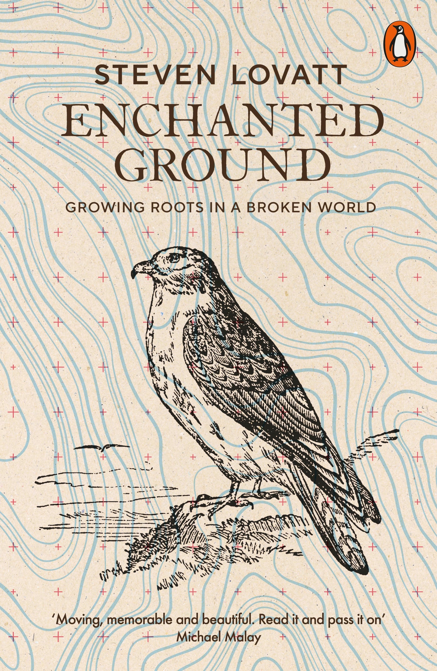 Enchanted Ground