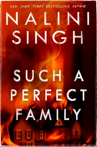 Cover of Such a Perfect Family (ISBN 9781399611596)